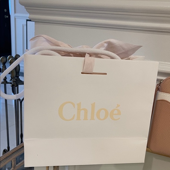 Chloé Blush and White leather Clutch with Pearl Handle - Picture 3 of 16